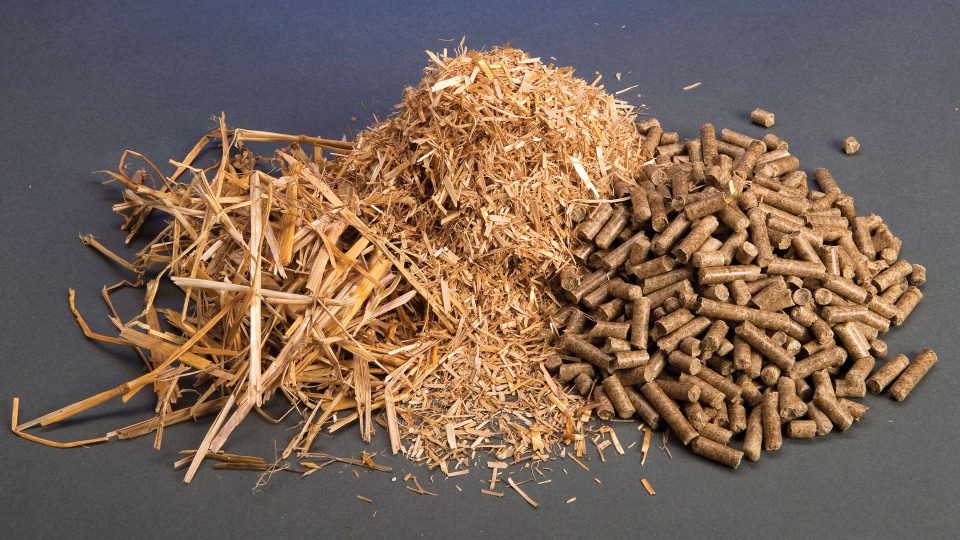 Piles of biomass