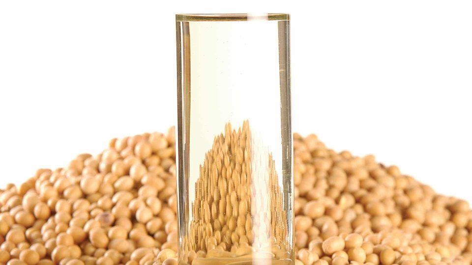 pile of soy with a clear glass container of glycerin