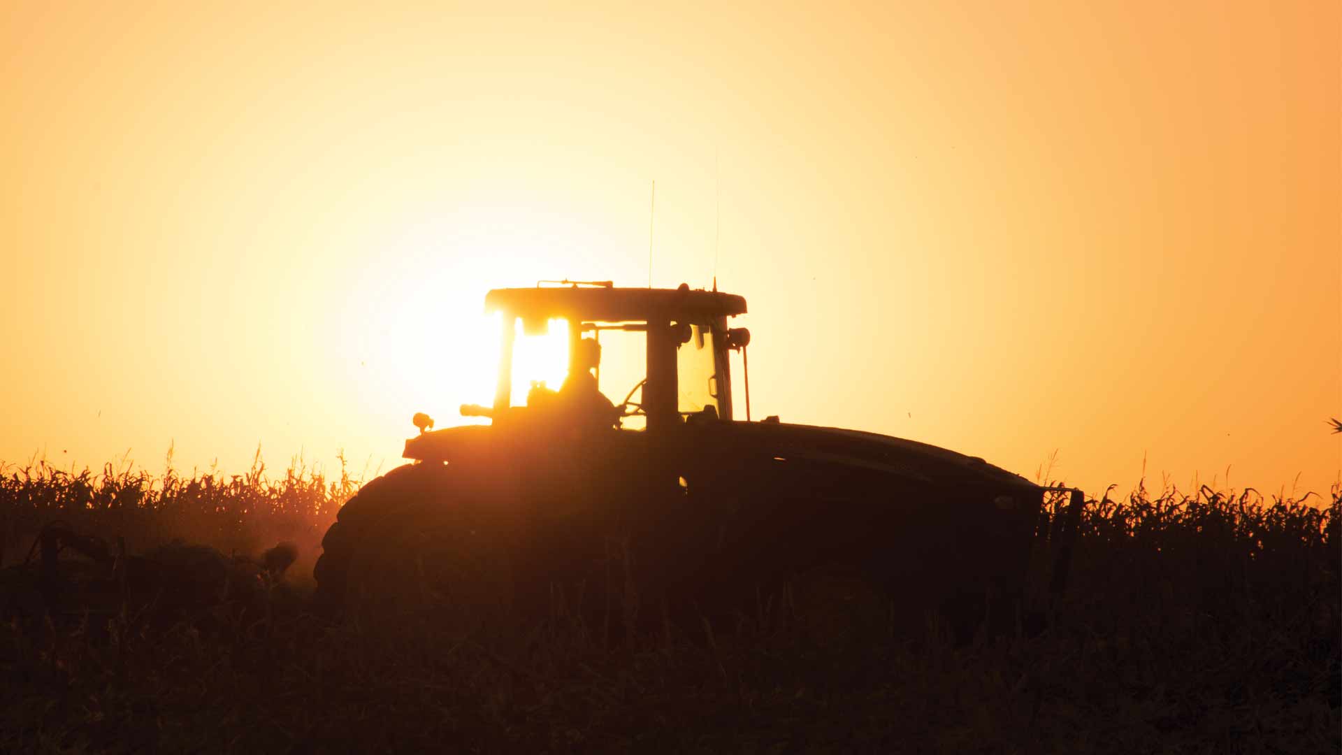 A tractor in field at sunset