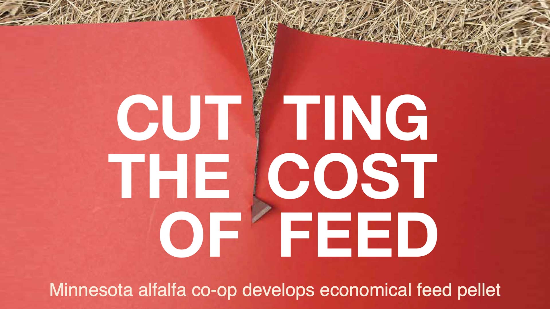 red sign that says cutting the cost of feed
