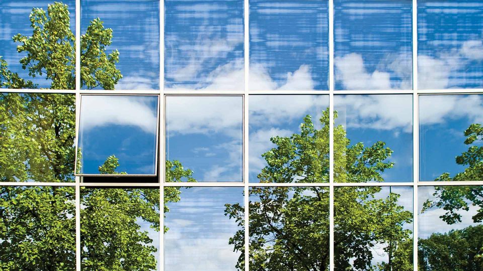 square glass panels with green trees reflection