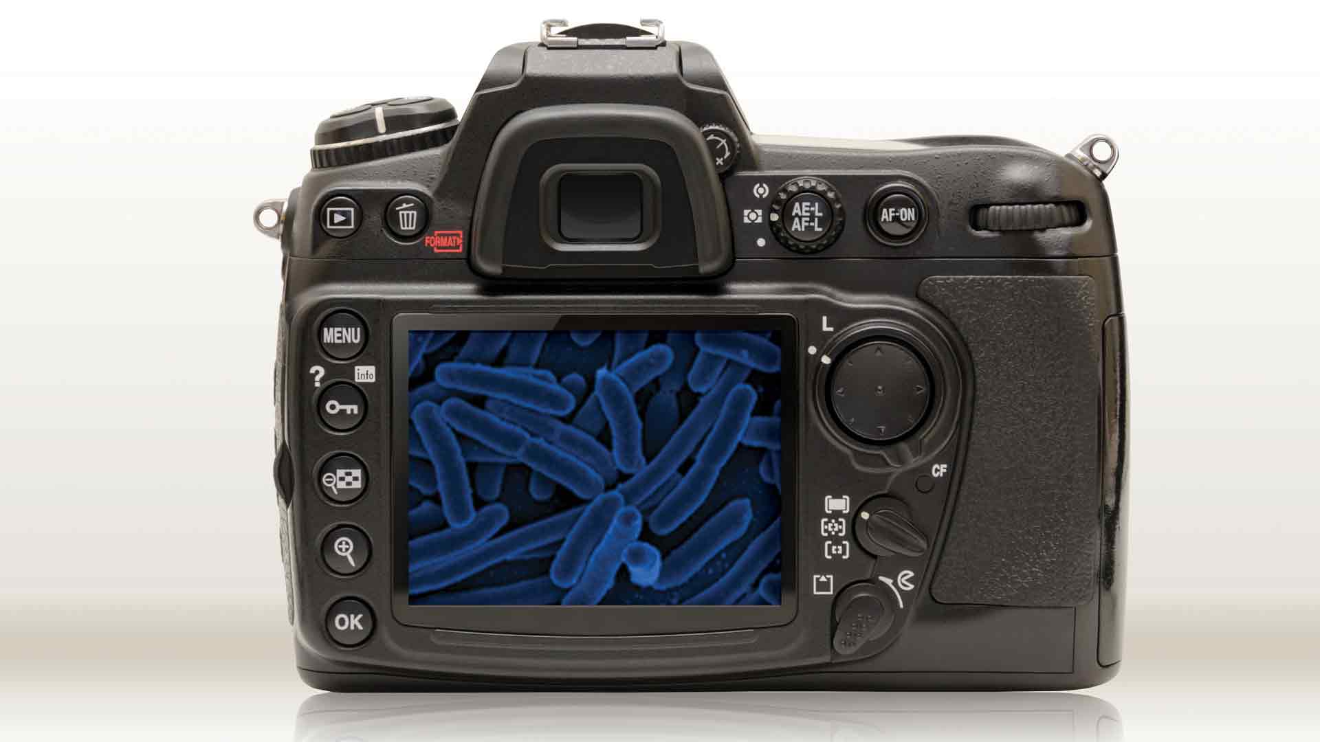 catching toxins on a digital camera