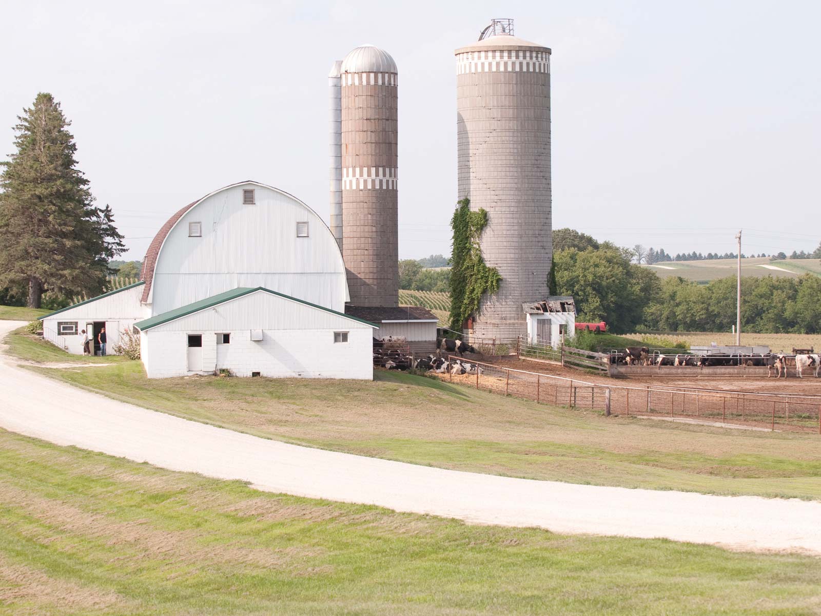 Small Scale Meat Producers AURI