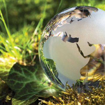 glass globe in green grass
