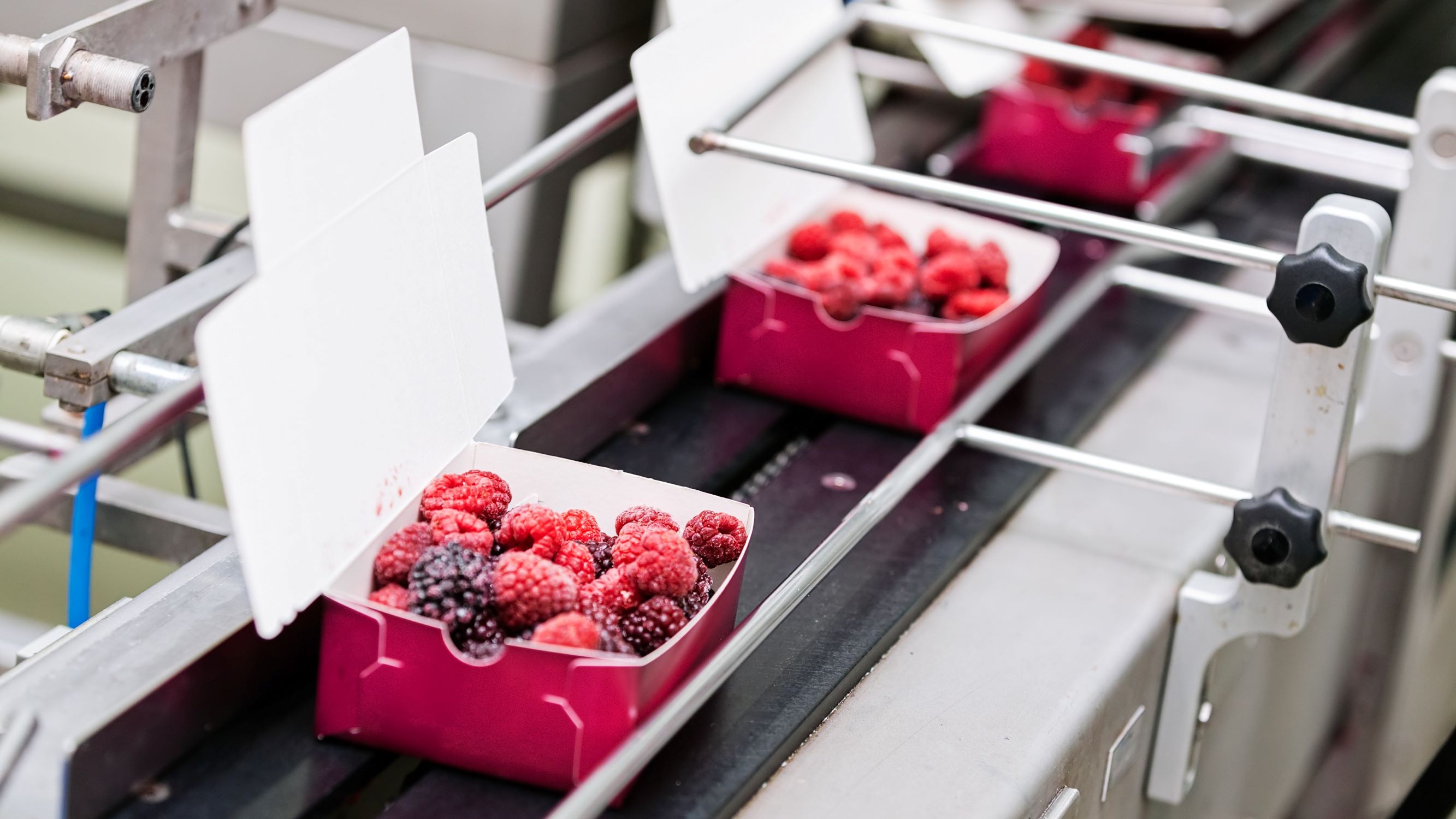 Discussing Food and Beverage Manufacturing in Minnesota (inar) AURI