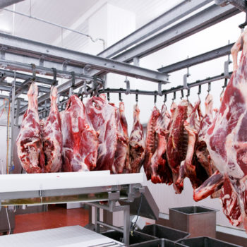 Photo of meat processing facility