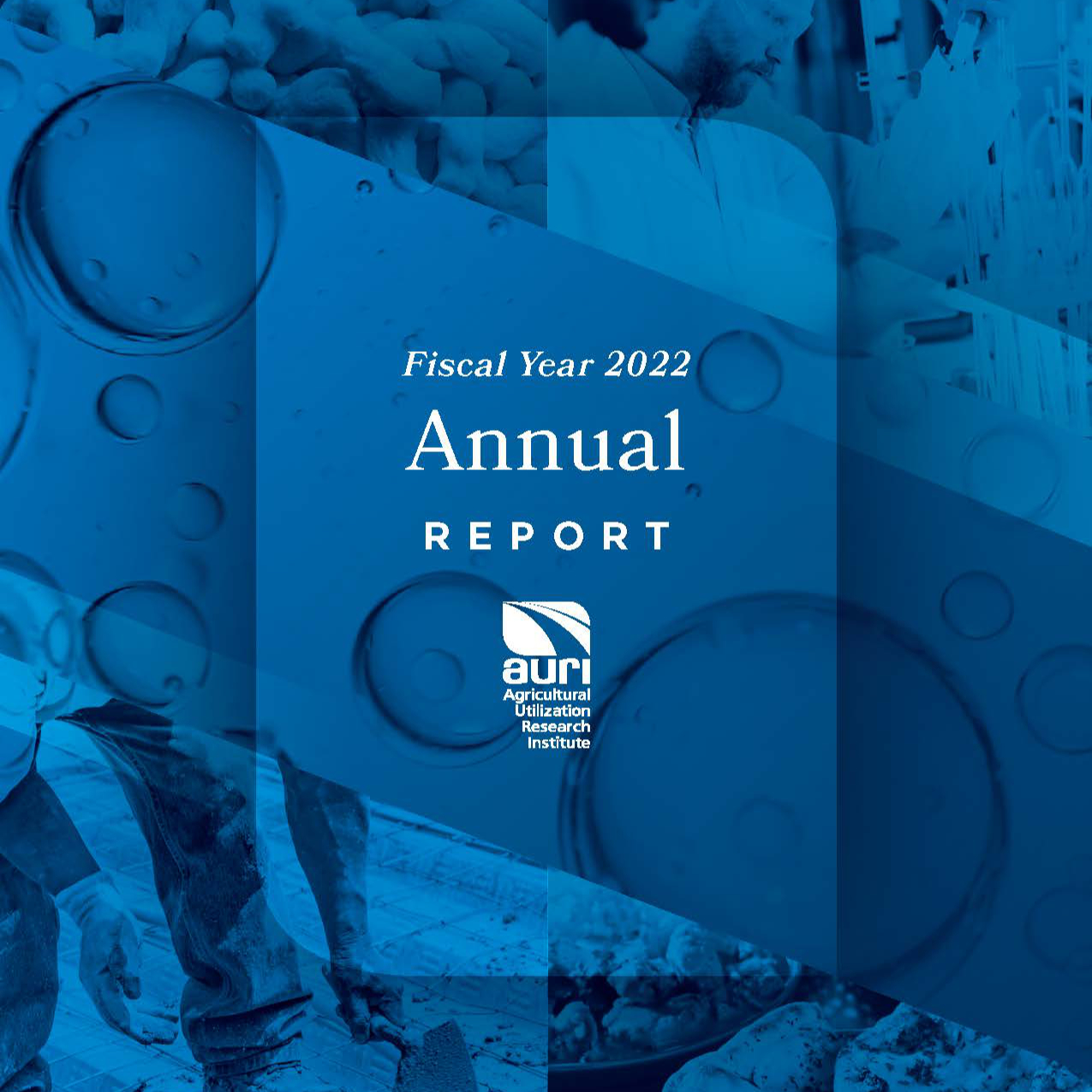 Annual Reports - AURI