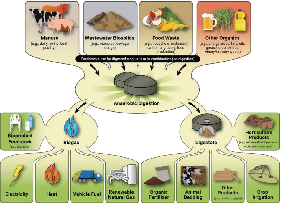 illustrated graphic of anaerobic digester process