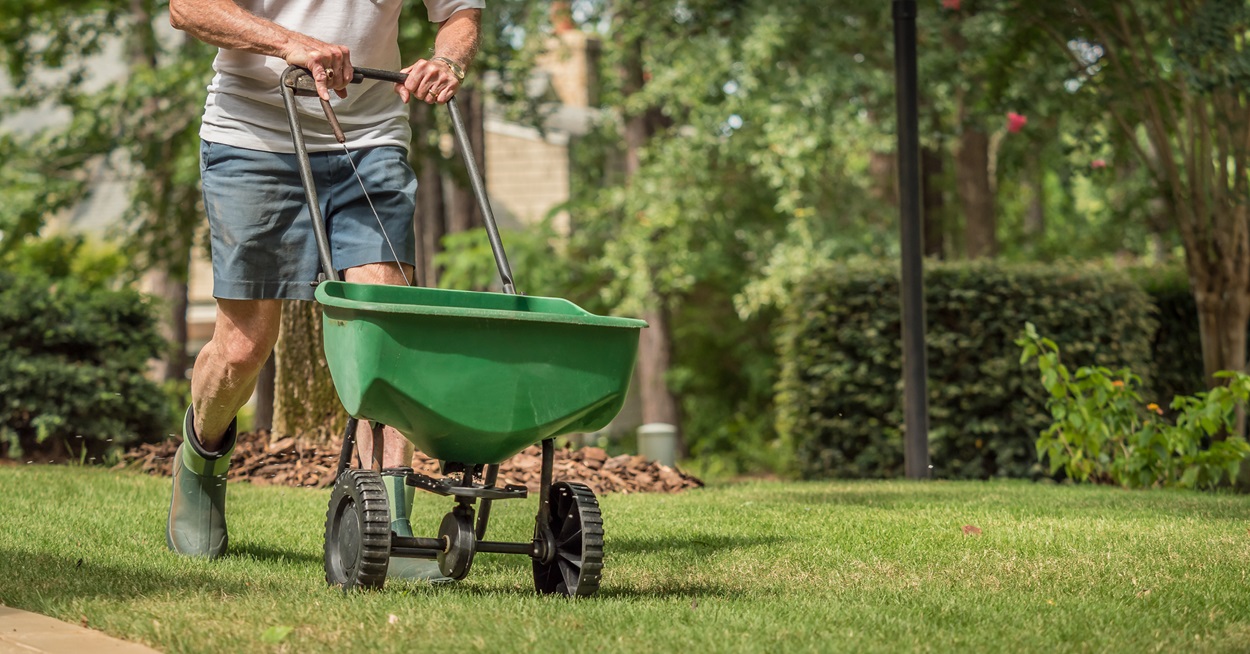Photo of person adding fertilizer to lawn